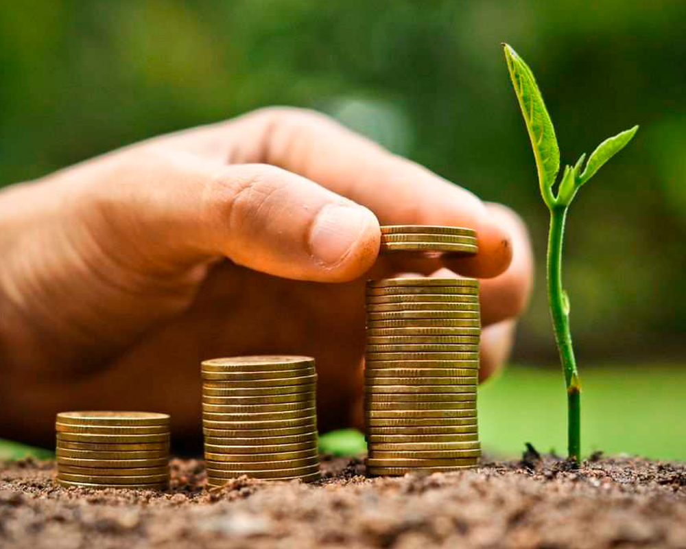 O que são Créditos de Carbono e como eles funcionam ao seu favor?